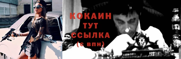 сатива Баксан