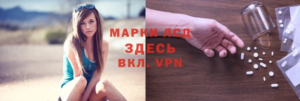 сатива Баксан