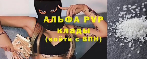 сатива Баксан