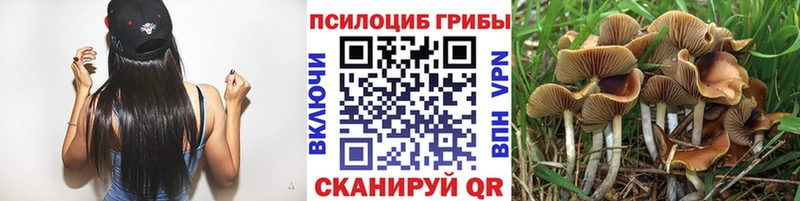 Галлюциногенные грибы GOLDEN TEACHER  Кодинск 